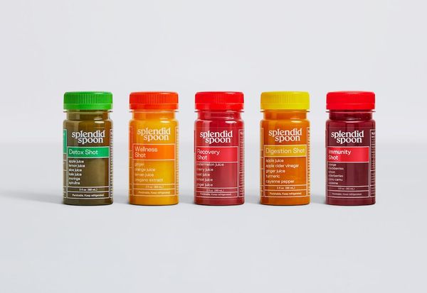 Splendid Shots Breakdown