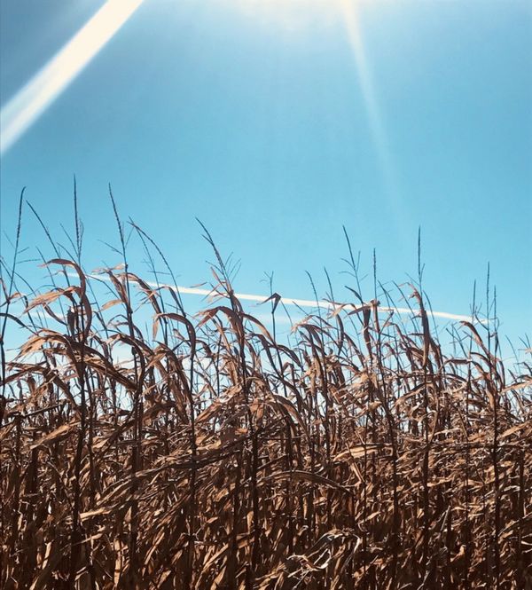 Beauty Energy: Pooja Kharbanda