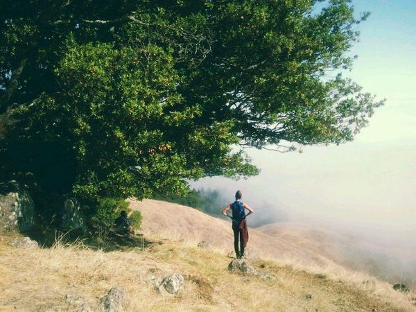 Beauty Energy: Rachel Budde