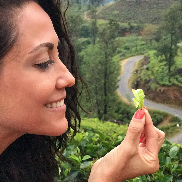 Fridge Voyeur: Carolyn Scott