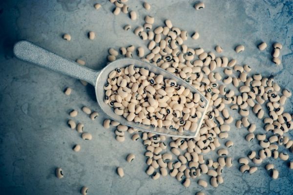 Lectins: Eat or Avoid?