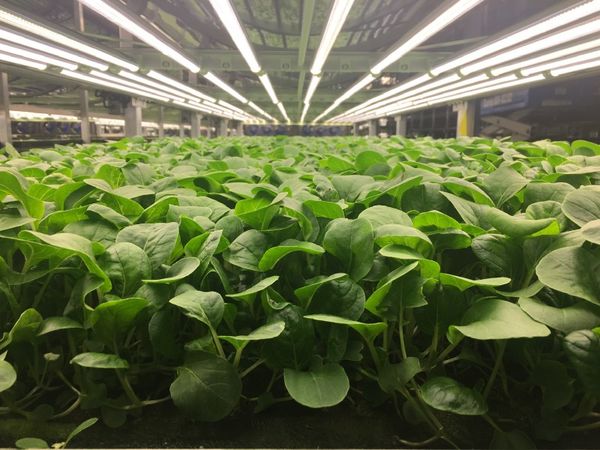 Mindful Farming for the Planet