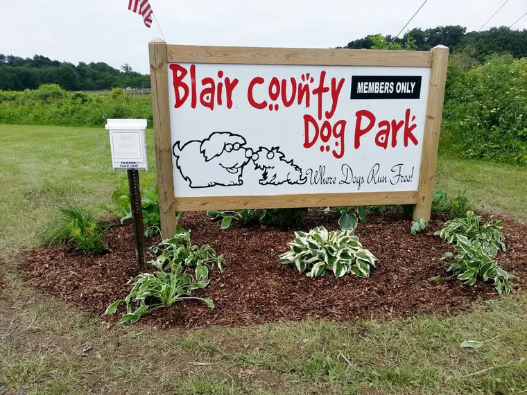 Behind Every Good Dog Is An Engaged Owner — PRB feature image