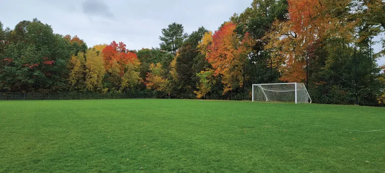 A Tale of Two Fields