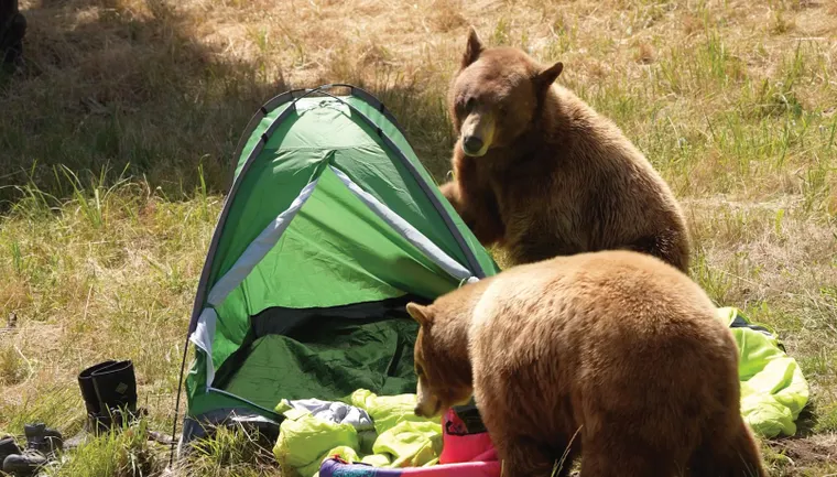 September This-N-That