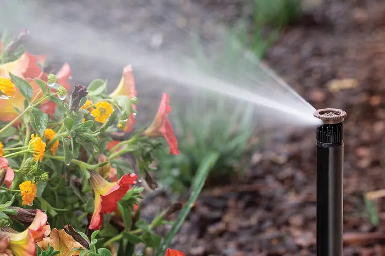 August 2025 Product Review