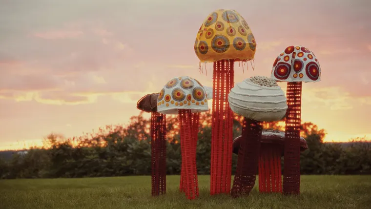 Creative Collaborations