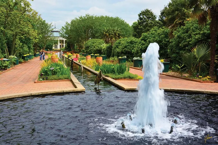 November This-N-That