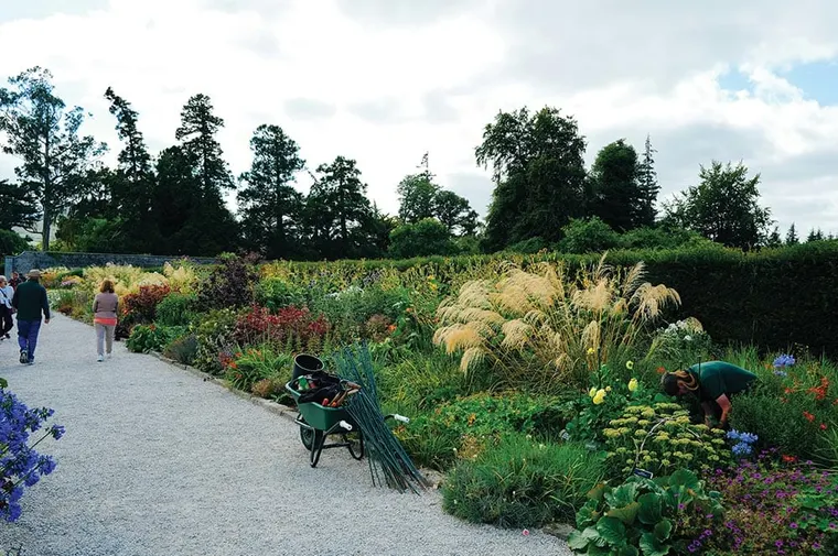 In (And Above) The Weeds