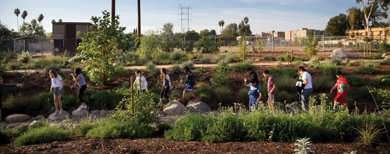 The Frontlines Of Community Health