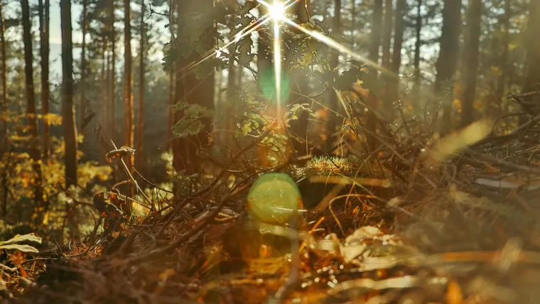 Building Bridges: Effective Tribal Relations in State Parks