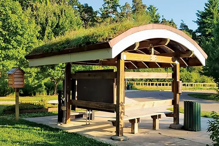 Learn How To Landscape Responsibly