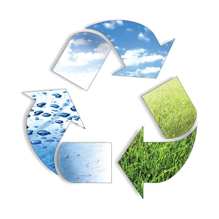 An Award-Winning Sustainability Initiative