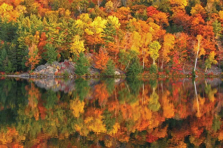 Fall Fun