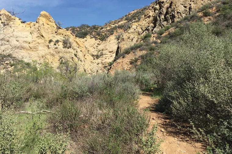 Trails On The Brain
