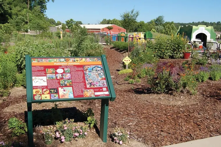 The Making Of A Pollinator Pantry