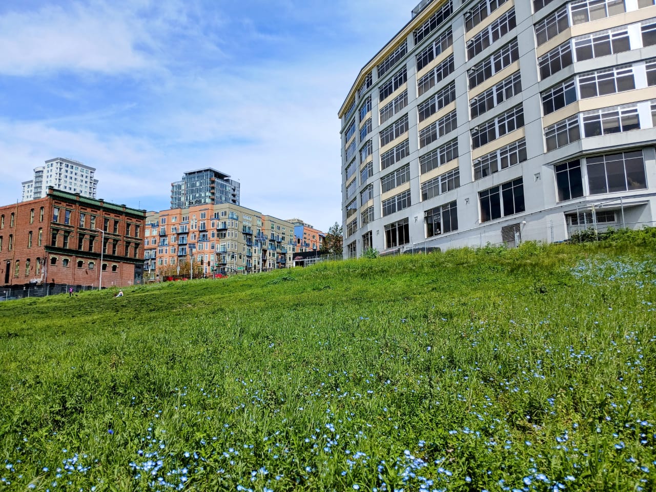 Seattle Seeks Designer for New Belltown Park