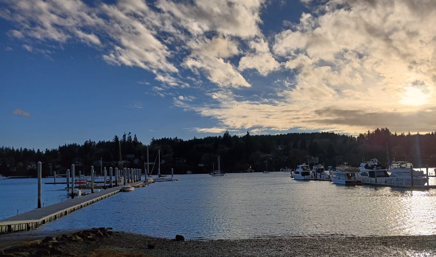 Bainbridge Islanders Are United Against Growing Densely? Not So Fast.