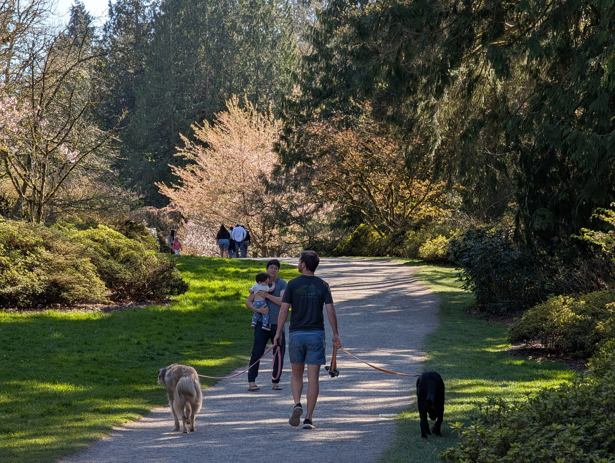 Op-Ed: Seattle Needs More Than a 10-Minute Walk or Roll to a Park