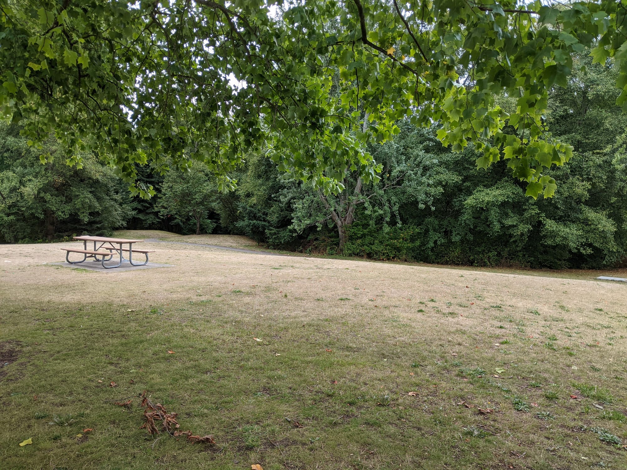 A photo of the Northeast corner of Licton Springs Park