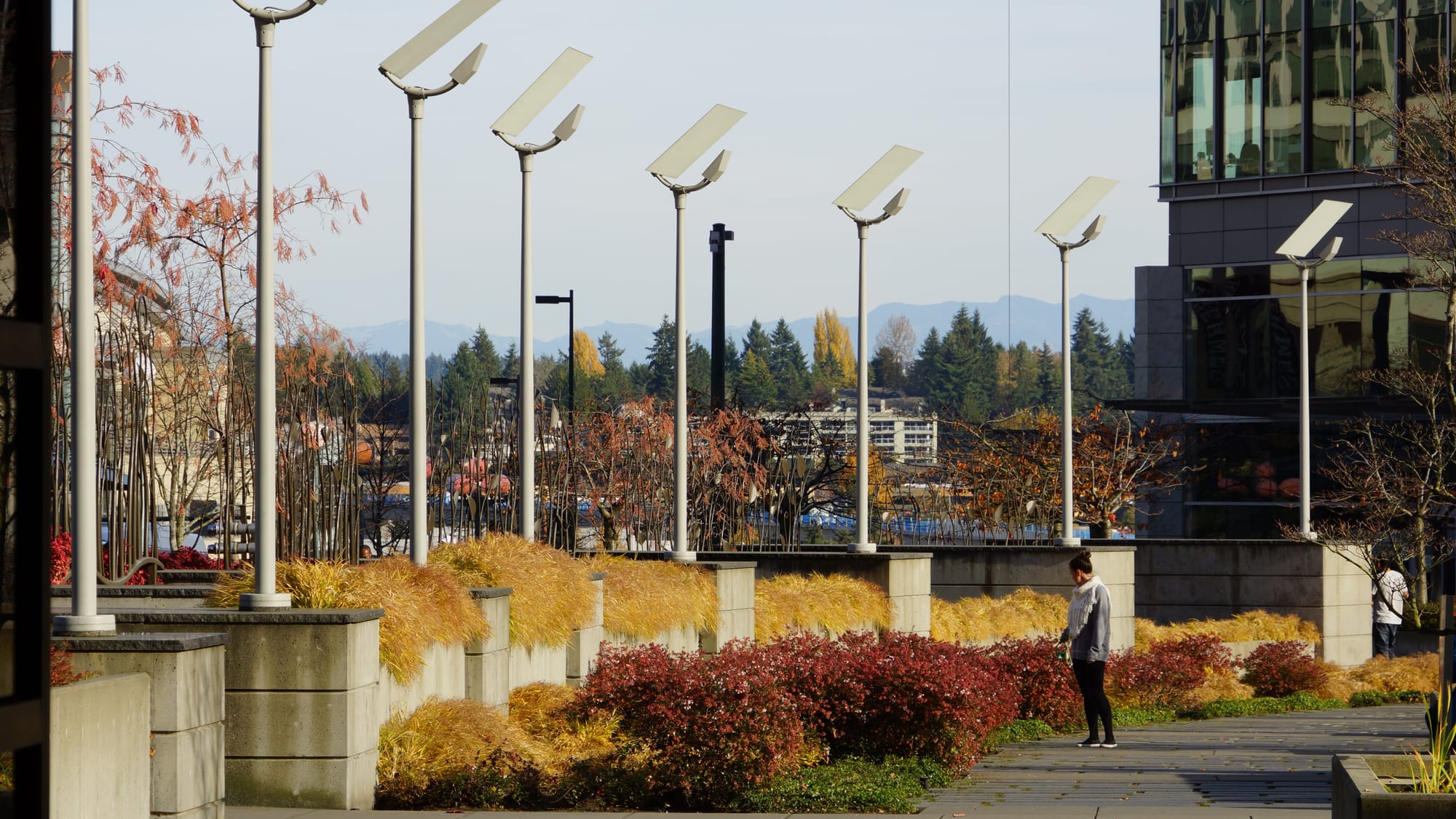 A photo fo the pedestrian walkway near the Bellevue Transit Center.