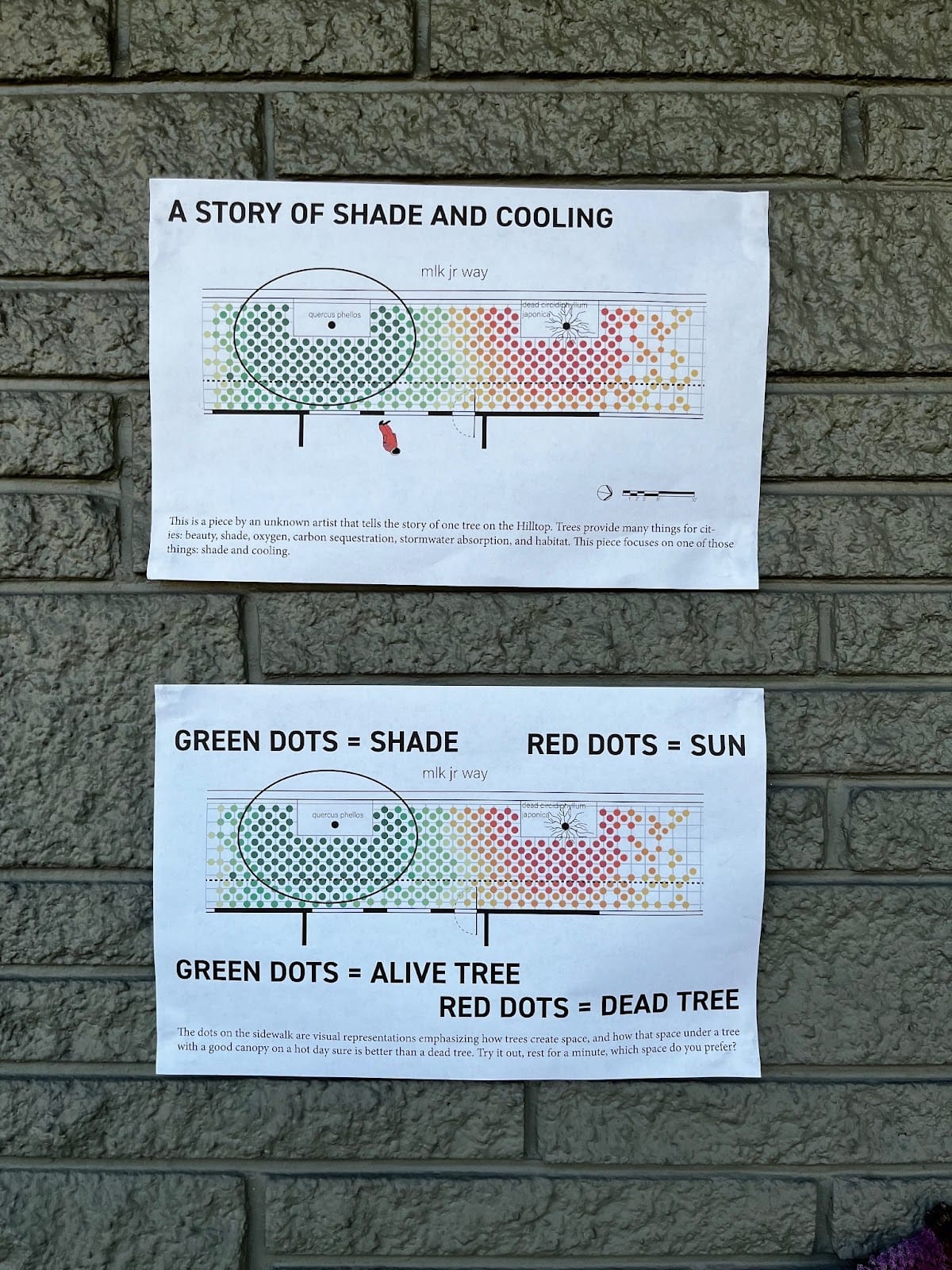 Signs describe the green or red dots that relate to tree shade and cooling.