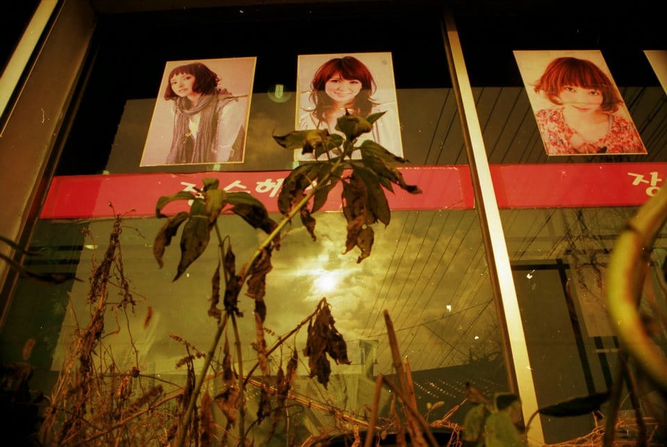                      Batting Eyes at Life
                     