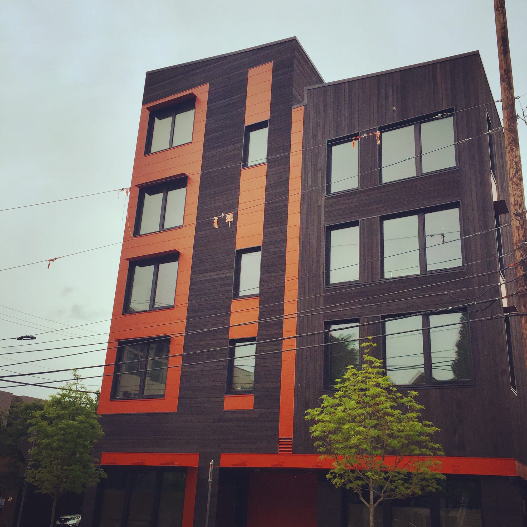 What We’re Reading: Going All In On Timber