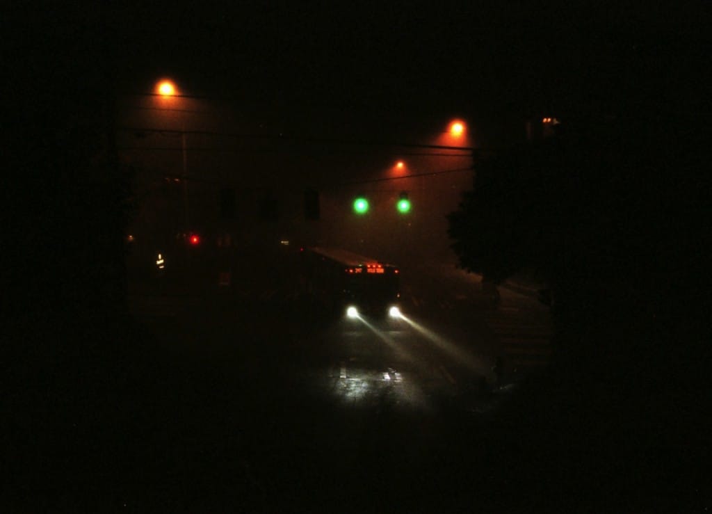 Magic Hour: Spinach, Belonging, Politics, Visions