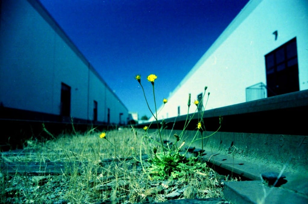 Be at Peace, Mr. Garner. We Will Love the World For You