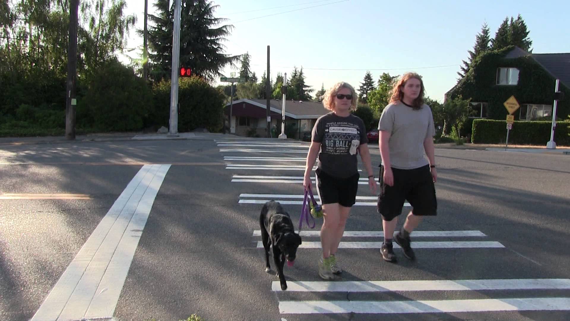                      SDOT Makes Spot Fix to West Seattle Five-Way Intersection
                     