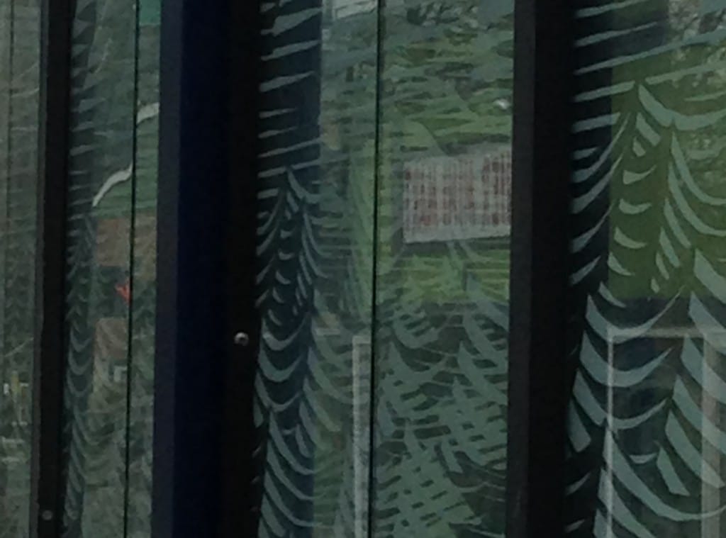 Stories from Metro Route 7: Cafe Avole, Rainier Mini-Mart and Stop 8190