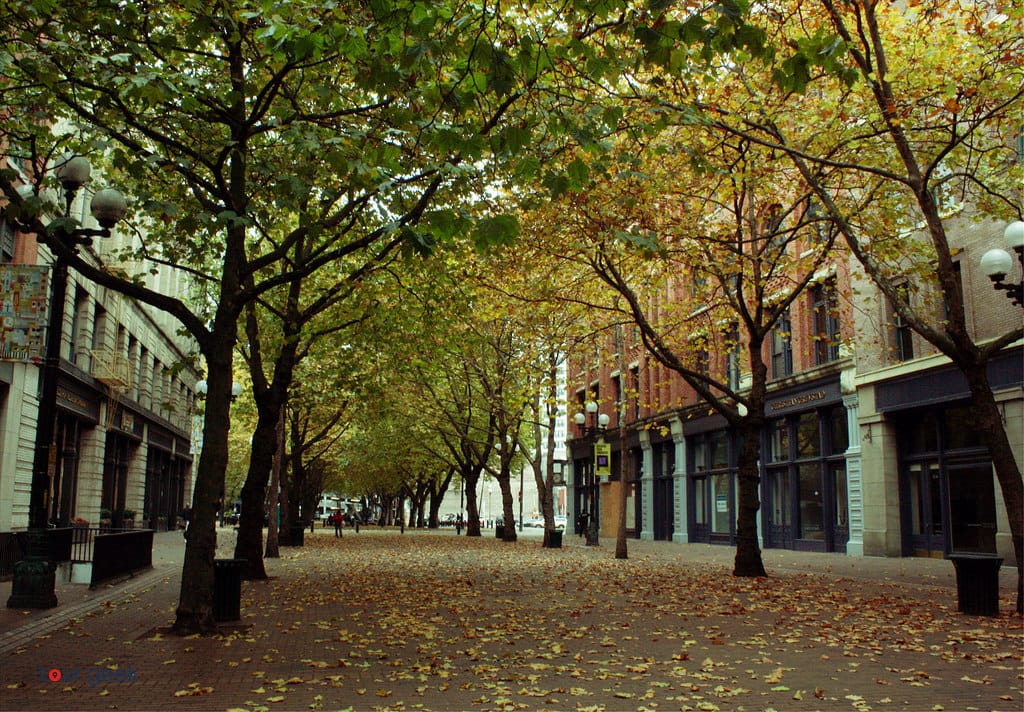                      Missing the Forest for the Trees
                     