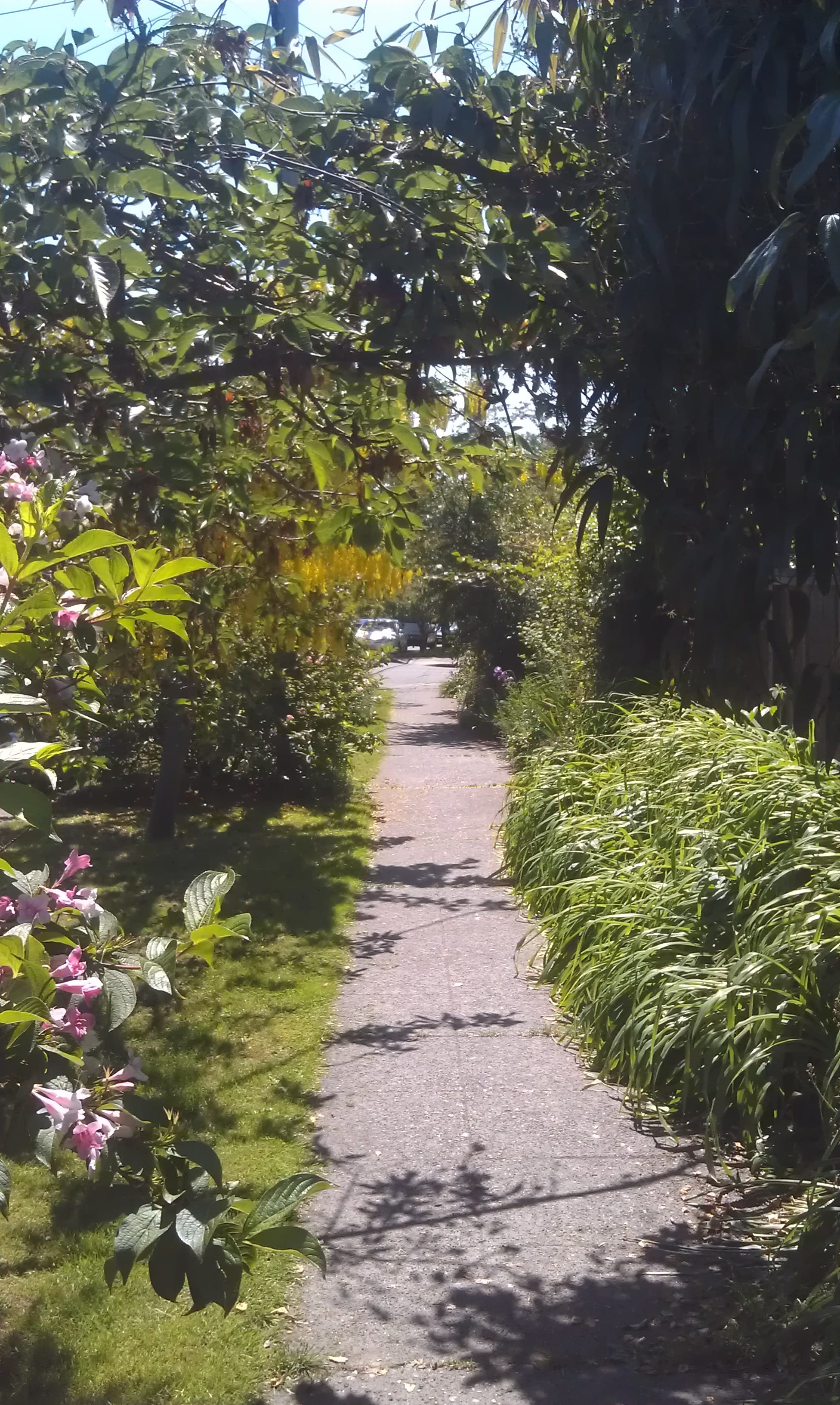 Will Soil Save Cities from Climate Change?