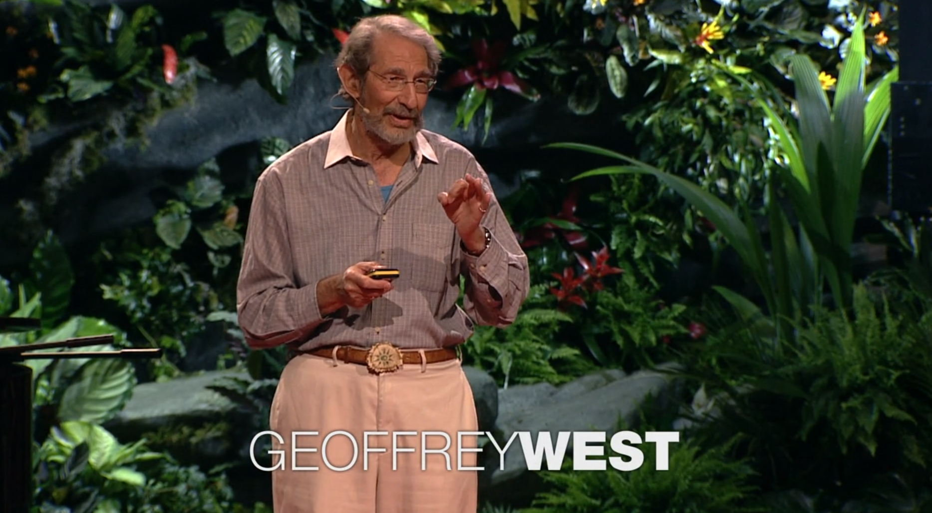 Sunday Video: The Surprising Math of Cities and Corporations