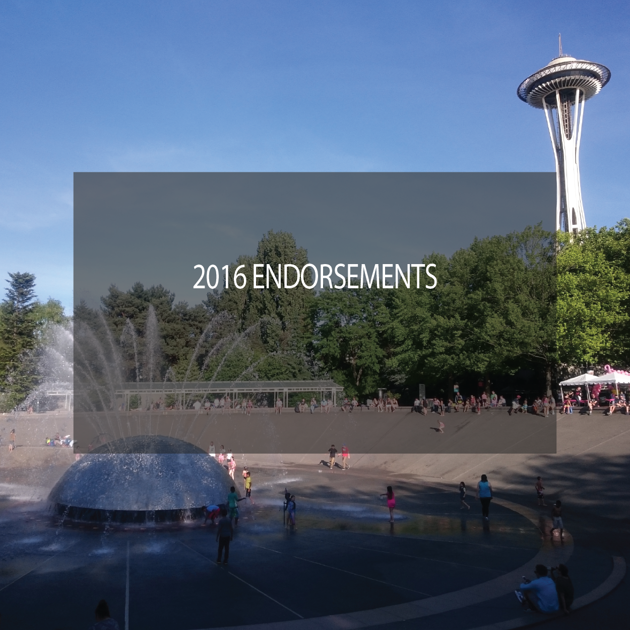 Our 2016 Endorsement Process Explained