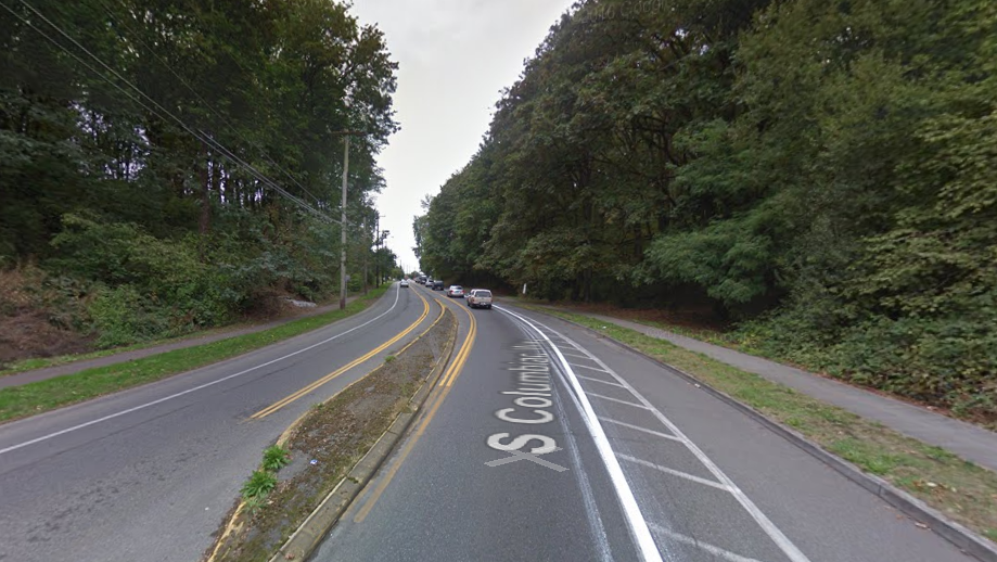 The conditions of S Columbian Way in September 2015. (Google)