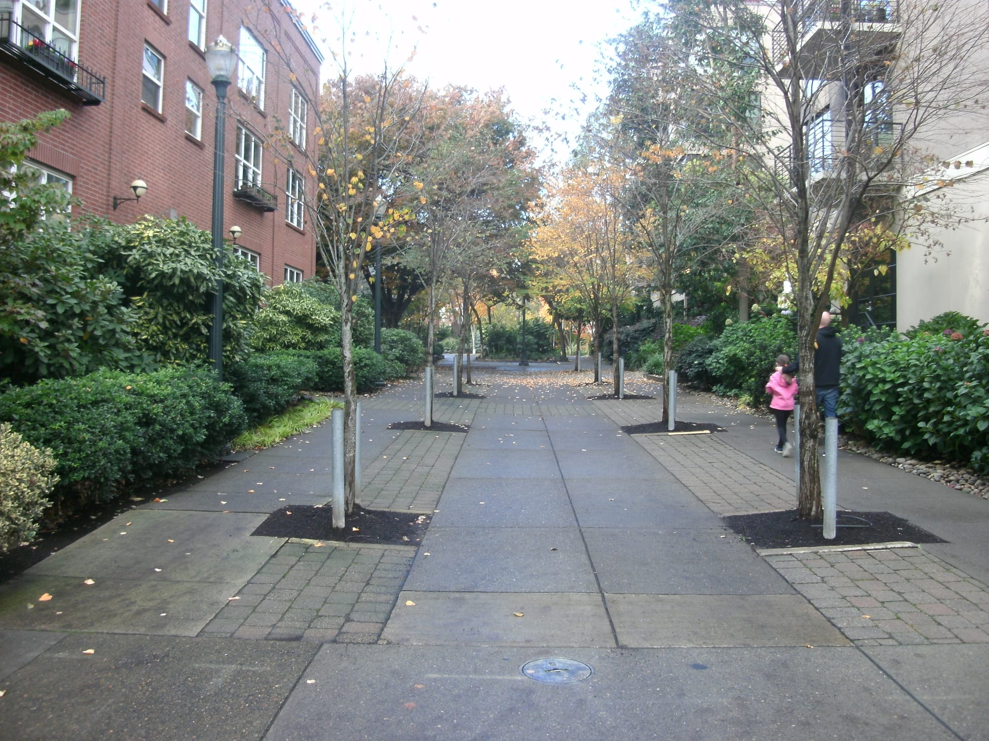 Pedestrian promenade in Portland's Pearl District (photo by the author)