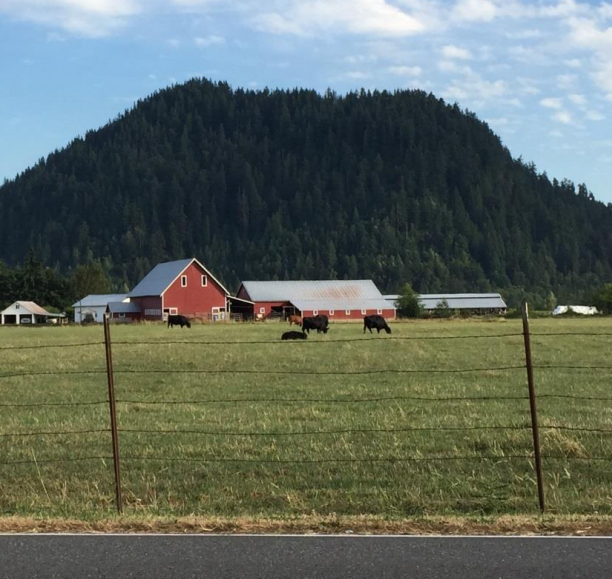                      Washington Republicans Mount All-Out Assault On Growth Management
                     