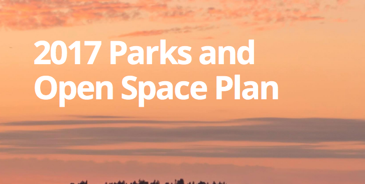 Parks Development Plan Passes, Comp Plan Docket Set