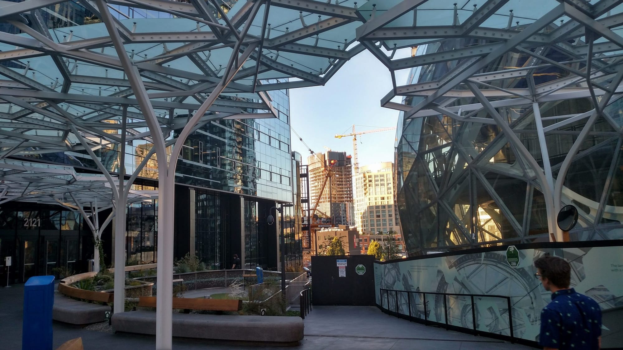 What To Expect When Expecting Amazon