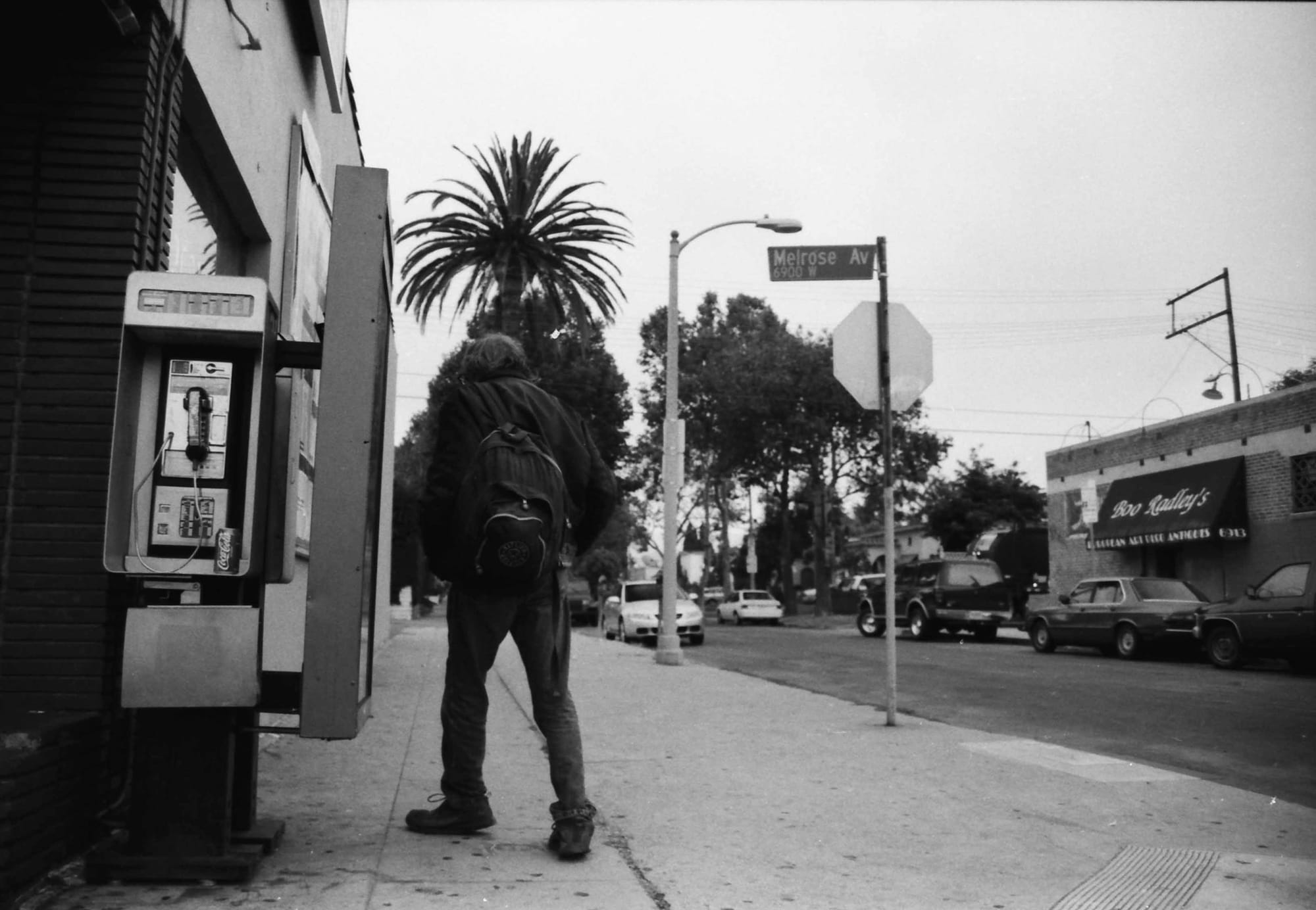                      Nathan the Half-Dead Zombie Vampire
                     