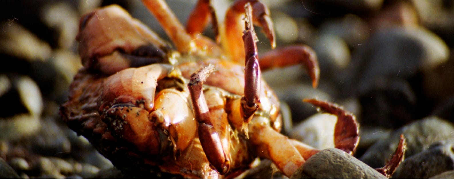 A Story About Zen Monks—Whoops I Mean Bus Drivers and Social Services Specialists