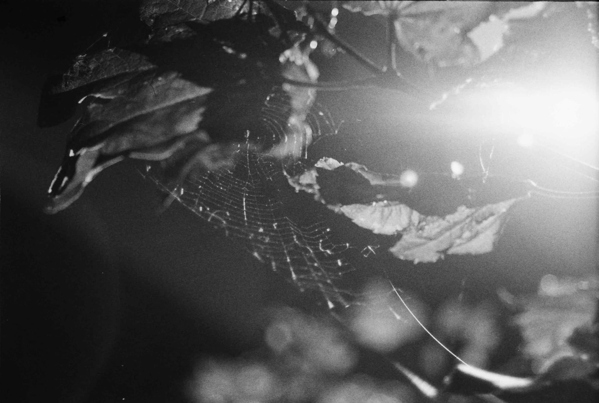 358 Thoughts (on the 348)