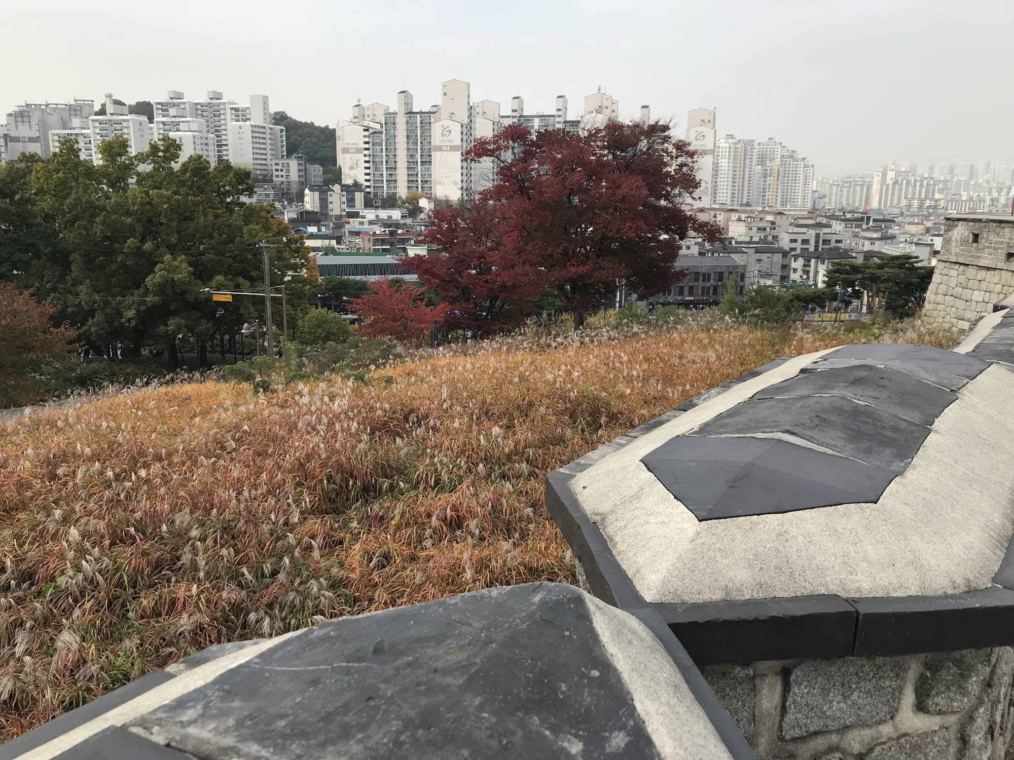 What We’re Reading: Buyer’s Market, Still On Track, and Green New Deal