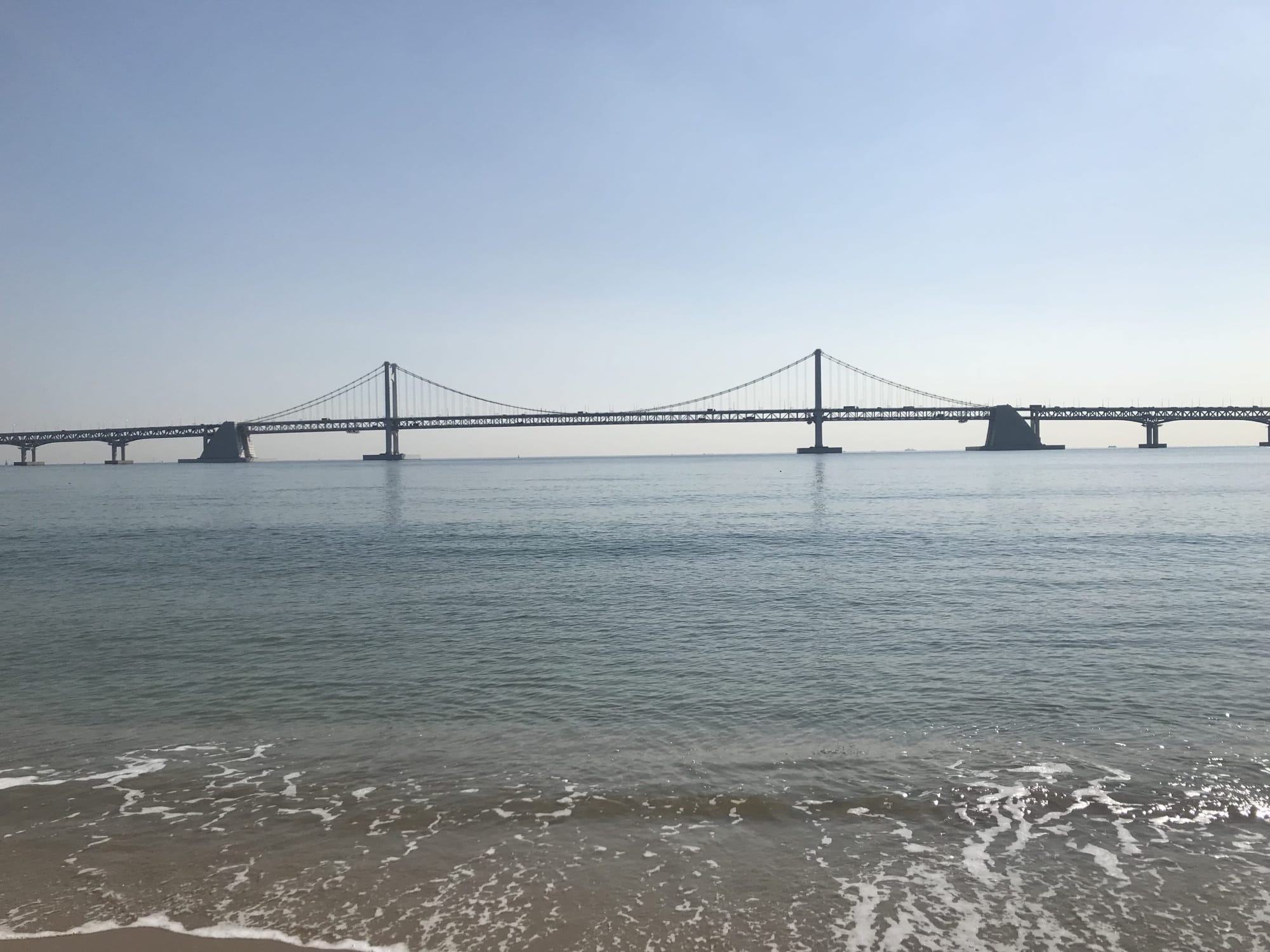 What We’re Reading: New Fast Ferry, Poaching Riders, and Parking E-Scooters