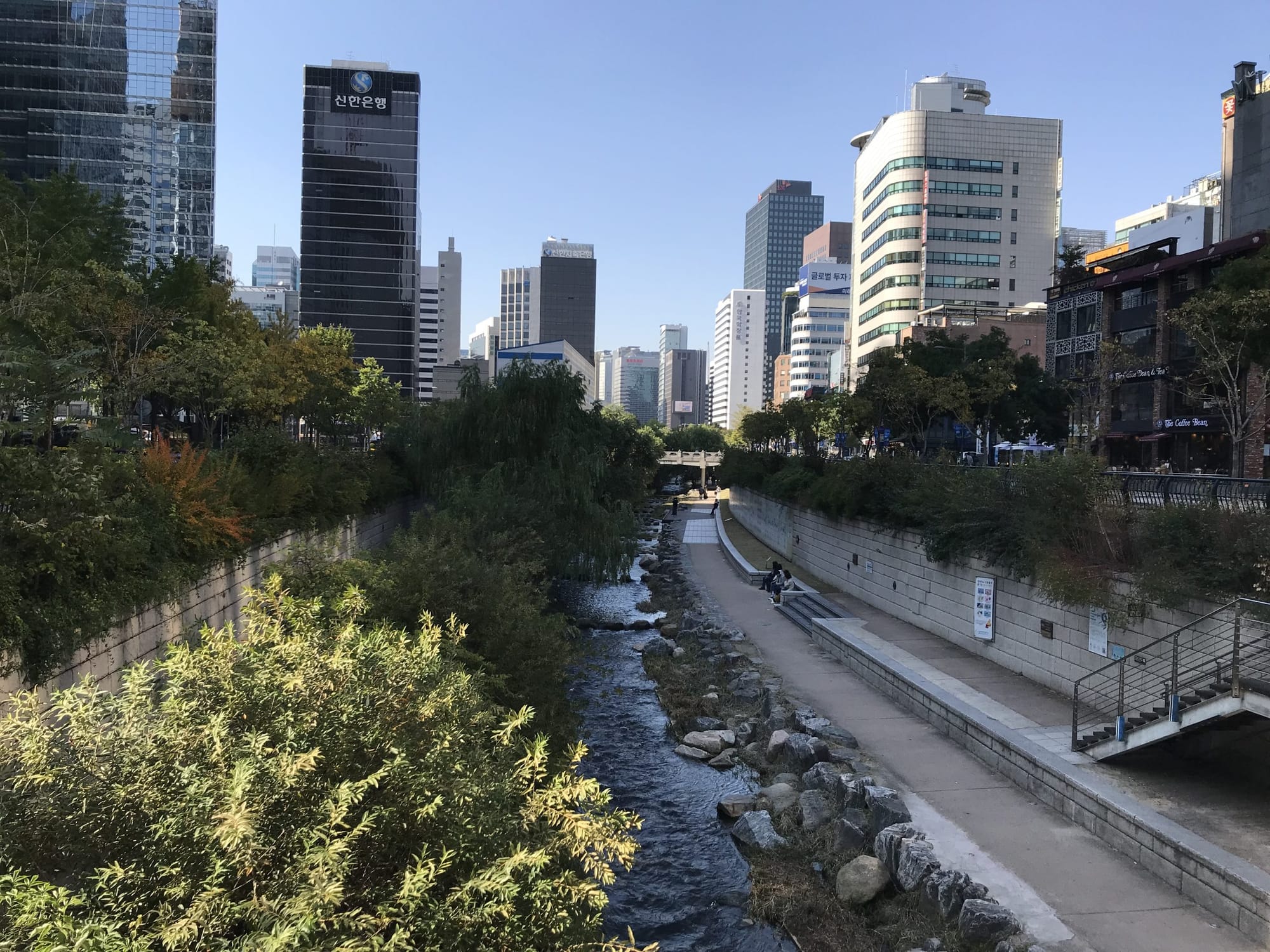 What We’re Reading: Paris Accord Stands, Shining Stars, and Saving Cougar Mountain