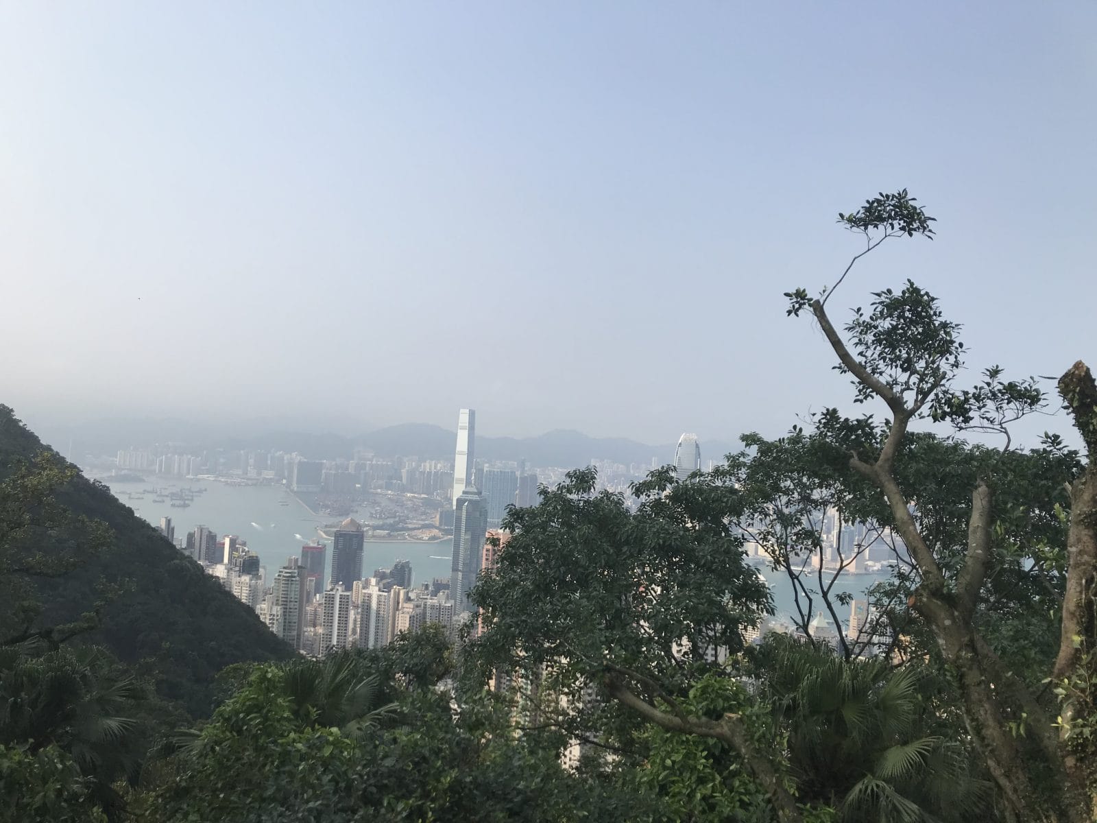 What We’re Reading: HQ2 B’vue, YIMBY Bill Passes, and Fly Less