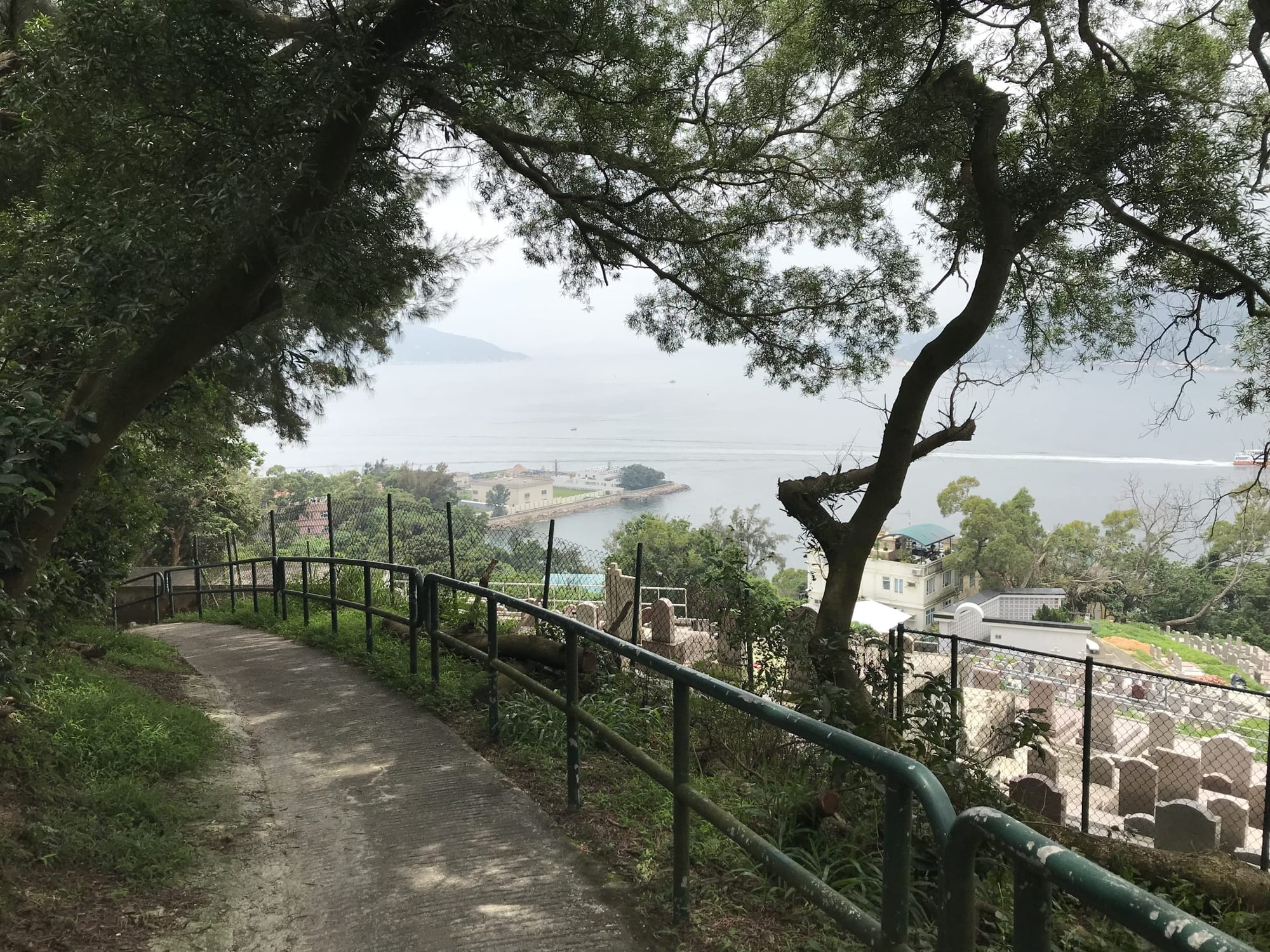 What We’re Reading: Post Car Future, Rail First, and Dystopian Car Visions