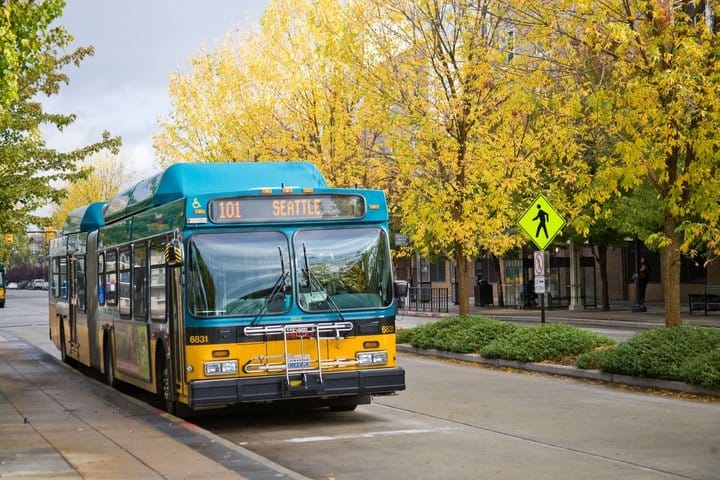 Thank You, 2019 Subscribers!